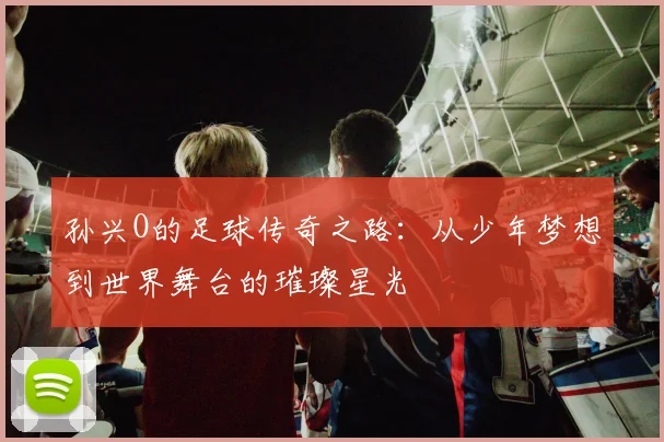 孙兴O的足球传奇之路：从少年梦想到世界舞台的璀璨星光