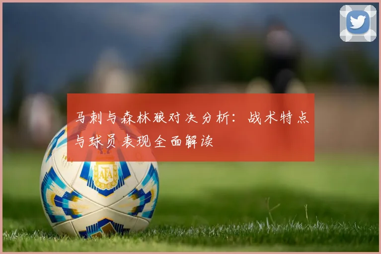 马刺与森林狼对决分析：战术特点与球员表现全面解读