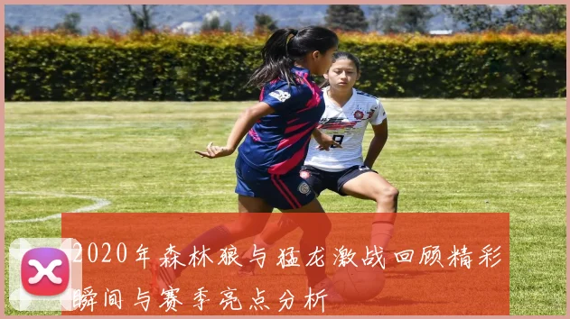 2020年森林狼与猛龙激战回顾精彩瞬间与赛季亮点分析