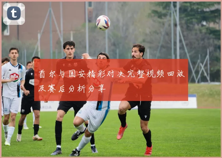 首尔与国安精彩对决完整视频回放及赛后分析分享